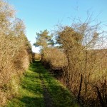 DSCN1378